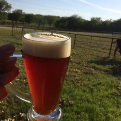 Kegconnection - Their grapefruit IPA recipe.
