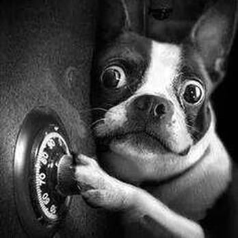Lance's Locksmith - Keys & Locksmiths Near Me - Davidsonville, Maryland Lance's Locksmith - Keys & Locksmiths Near Me - Davidsonville, Maryland