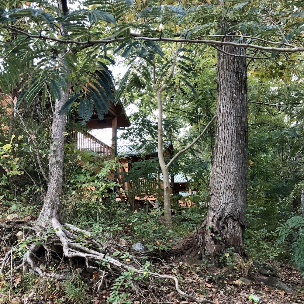 Pigeon River Campground - View of camping cabins from the river bank. - RV Parks Near Me - Hartford, Tennessee Pigeon River Campground - View of camping cabins from the river bank. - RV Parks Near Me - Hartford, Tennessee