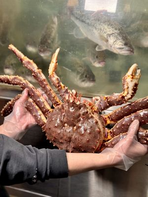 Good Harvest by null