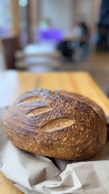 Secret Sister by null