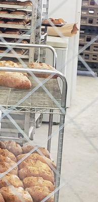 Grateful Bread Company by null