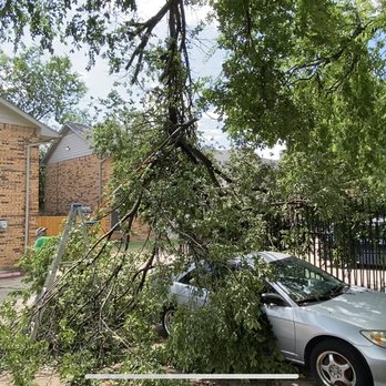 Munoz Landscaping - Before: Customer called after strong winds. - Tree Services Near Me Munoz Landscaping - Before: Customer called after strong winds. - Tree Services Near Me