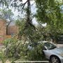 Photo of Munoz Landscaping