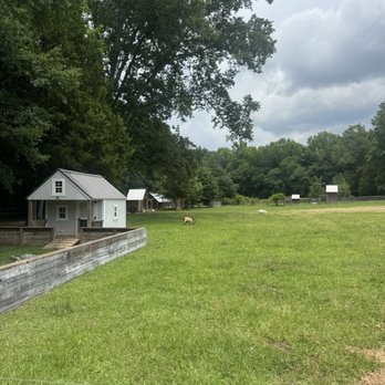 big canoe creek outfitters - Families property and goats - Rafting/Kayaking Near Me - Springville, Alabama big canoe creek outfitters - Families property and goats - Rafting/Kayaking Near Me - Springville, Alabama