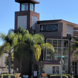 Cocoon Training Center
