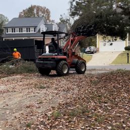 Tree removal.