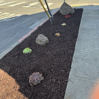 Bravo's Landscaping Services - After - Tree Services Near Me Bravo's Landscaping Services - After - Tree Services Near Me