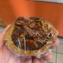 Photo of Happy Bagel Bakery