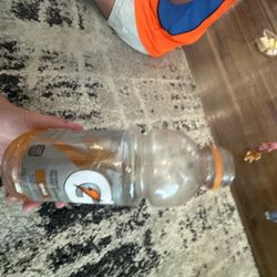 Panthera's - Gatorade