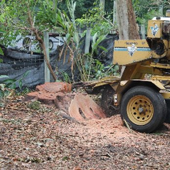 Tree Masters - Tree Services Near Me - Miami, Florida