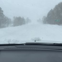 3 miles out from the dog ranch on 1/15/2023