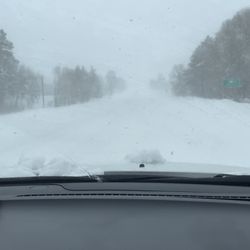 Durango Dog Ranch - 3 miles out from the dog ranch on 1/15/2023