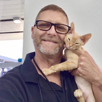 Kurakats - Pet Adoption Near Me - Fleetwood, North Carolina Kurakats - Pet Adoption Near Me - Fleetwood, North Carolina