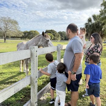 Tradewinds Park - Horseback Riding Near Me - Coconut Creek, Florida Tradewinds Park - Horseback Riding Near Me - Coconut Creek, Florida