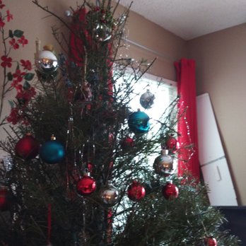 Grinch's Christmas Trees - Worst tree we've ever had. $60 for a tree that was dead within a couple days. - Christmas Trees Near Me - La Mesa, California Grinch's Christmas Trees - Worst tree we've ever had. $60 for a tree that was dead within a couple days. - Christmas Trees Near Me - La Mesa, California
