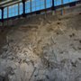 Photo of The Quarry Exhibit Hall