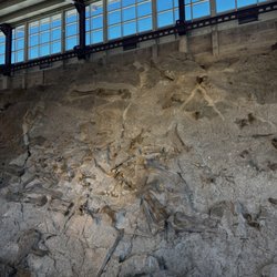 The Quarry Exhibit Hall