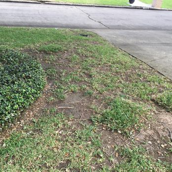 TruGreen Lawn Care - Tree Services Near Me - Sugar Land, Texas TruGreen Lawn Care - Tree Services Near Me - Sugar Land, Texas