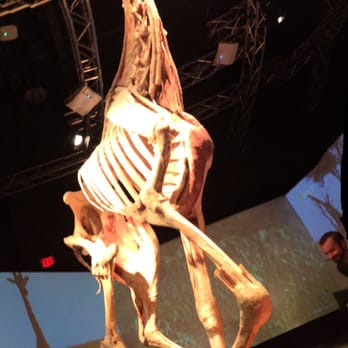 Science World - Museums Near Me - Vancouver, British Columbia