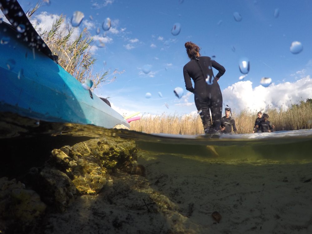 HUNTER SPRINGS KAYAKS ON HALLS RIVER Updated September 2024 2420 S