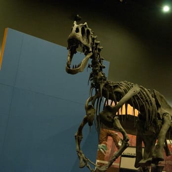 Dinosaur Park-Museum George S Eccles - Parks Near Me - Ogden, Utah Dinosaur Park-Museum George S Eccles - Parks Near Me - Ogden, Utah