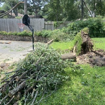 Espinoza’s Landscaping - Tree Services Near Me - Temple, Texas Espinoza’s Landscaping - Tree Services Near Me - Temple, Texas