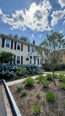 Tufts University by null