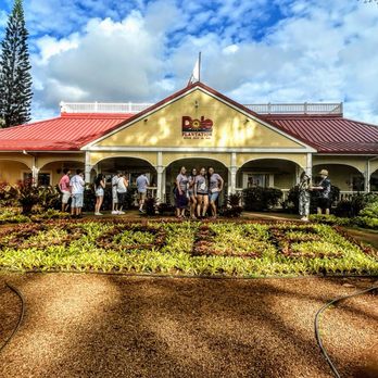 Tours Around Paradise - Tours Near Me - Honolulu, Hawaii Tours Around Paradise - Tours Near Me - Honolulu, Hawaii
