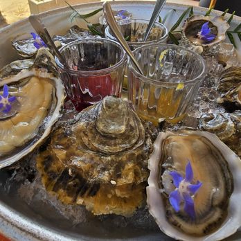 Conchas de Piedra - Oysters - Seafood Near Me - Villa de Juárez, BCN