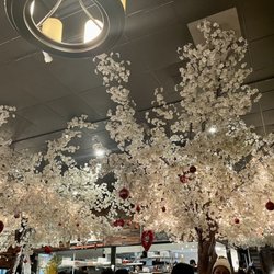 Sushi Kadan - Sakura Trees!!