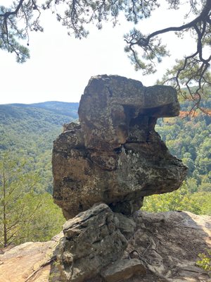 Hawksbill Crag/Whitaker Point by null