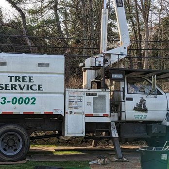 PJK Tree Service - Tree Services Near Me - Uxbridge, Massachusetts PJK Tree Service - Tree Services Near Me - Uxbridge, Massachusetts
