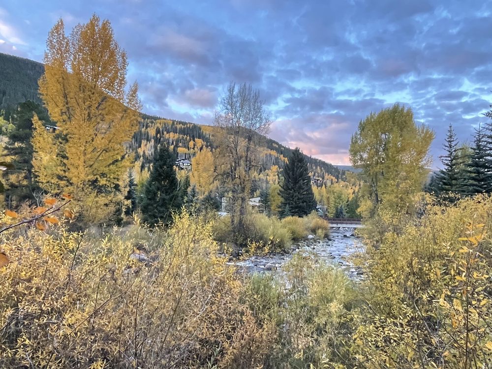 Stephen's Park Image