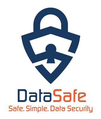 Data Safe Group LLC