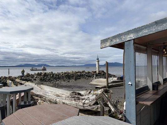 Taylor Shellfish Farms by null