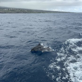 Teralani Sailing Adventures - Boating Near Me - Lahaina, Hawaii Teralani Sailing Adventures - Boating Near Me - Lahaina, Hawaii