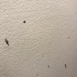 Econo Lodge Inn & Suites - Red stains