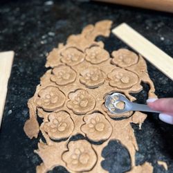Lulu's Pet Bakery