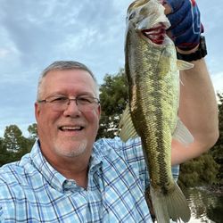 Academy Sports + Outdoors - On a business trip. Fished the pond next to the hotel and caught this nice bass on a River 2 Sea Whopper Plopper - You Know It - 90.