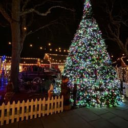 The Milleridge Inn - Christmas tree