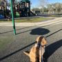 Photo of Winnie Stowell Park