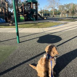 Winnie Stowell Park - Playground