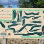 Photo of Chili DGC at Widener Park