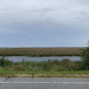 St. Mark's Lighthouse - Swamp area by lighthouse - Landmarks & Historical Buildings Near Me - Crawfordville, Florida St. Mark's Lighthouse - Swamp area by lighthouse - Landmarks & Historical Buildings Near Me - Crawfordville, Florida