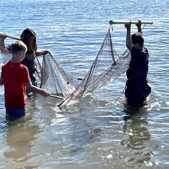 Funky Fins - Kids Activities Near Me Funky Fins - Kids Activities Near Me