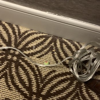 Sheraton Park City - Candy and nuts all over the carpet. This room has not been vacuumed prior to our stay. - Hotels Near Me - Park City, Utah Sheraton Park City - Candy and nuts all over the carpet. This room has not been vacuumed prior to our stay. - Hotels Near Me - Park City, Utah