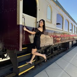 the train