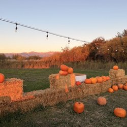 Bozeman Maze