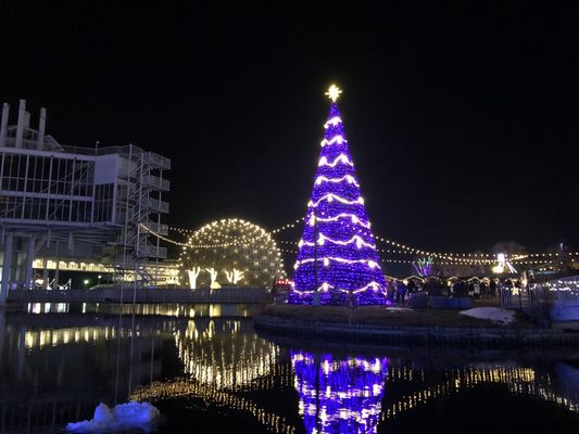 Aurora Winter Festival by null